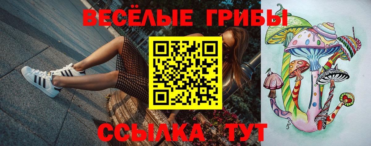 Звенигород  Галлюциногенные грибы Psilocybe  Вход с VPN 