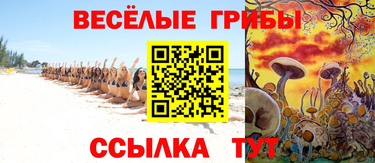 Галлюциногенные грибы GOLDEN TEACHER Звенигород
